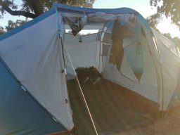 2023-09-29 SALAMANDRA II